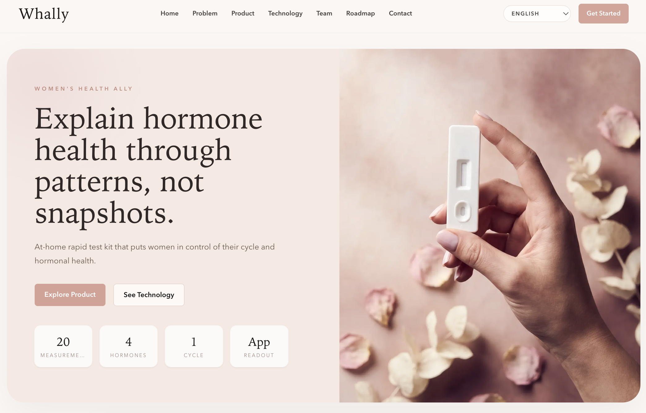 HexTG – Corporate Website